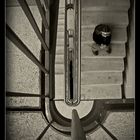 ~~~ l'escalier - Die Treppe ~~~