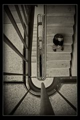 ~~~ l'escalier - Die Treppe ~~~