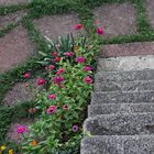 L'escalier fleuri