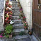 l'escalier fleuri