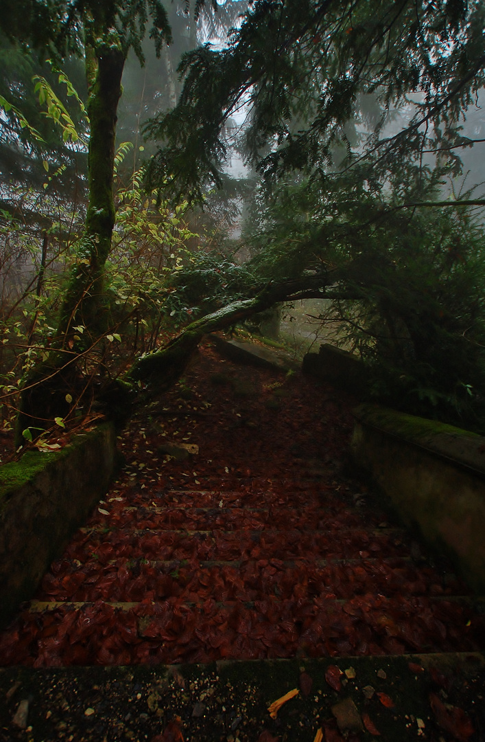 "l'escalier hanté"