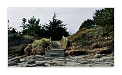 L'escalier vers la plage