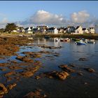 Lesconil 7