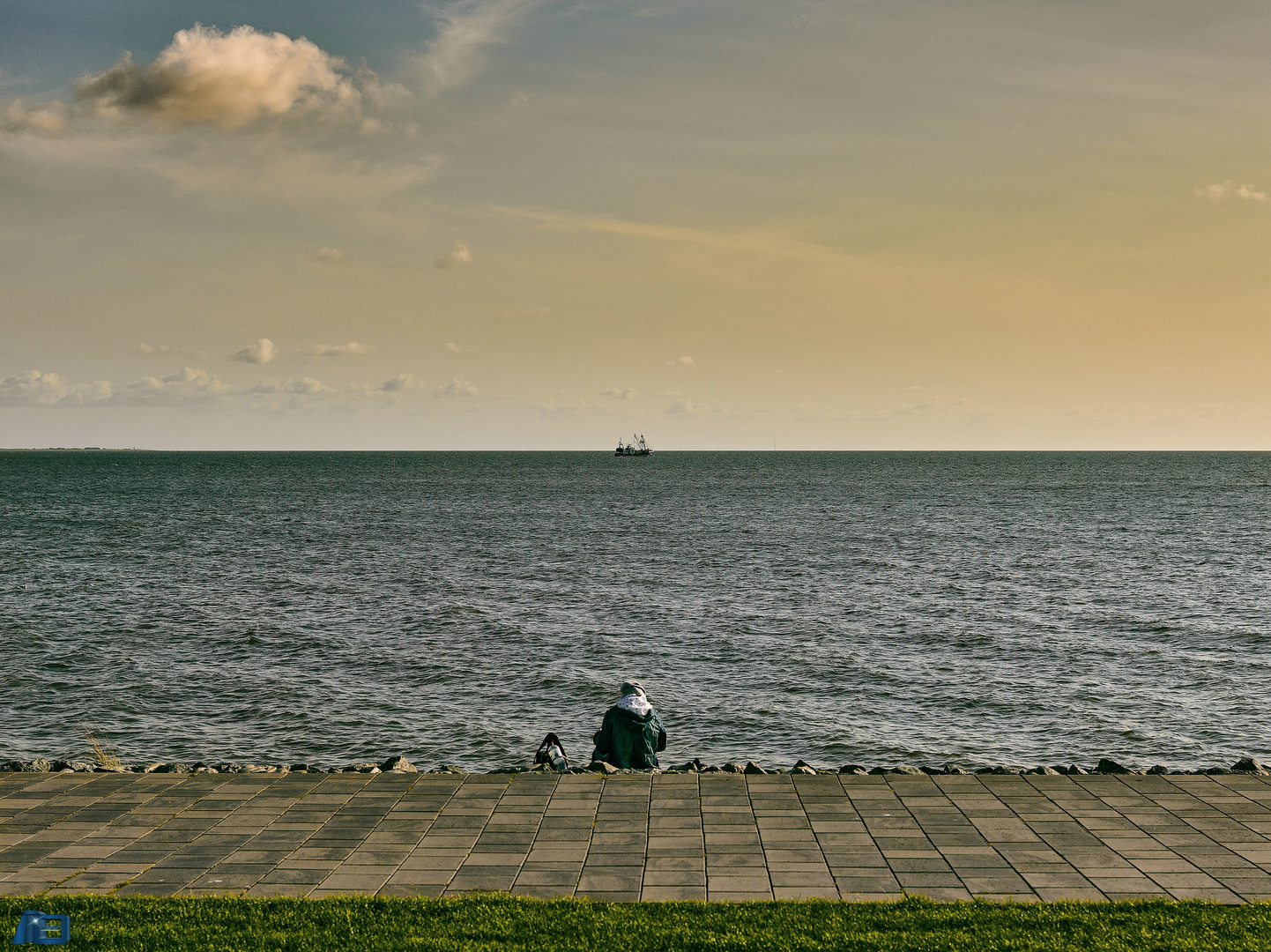 Lesen am Meer