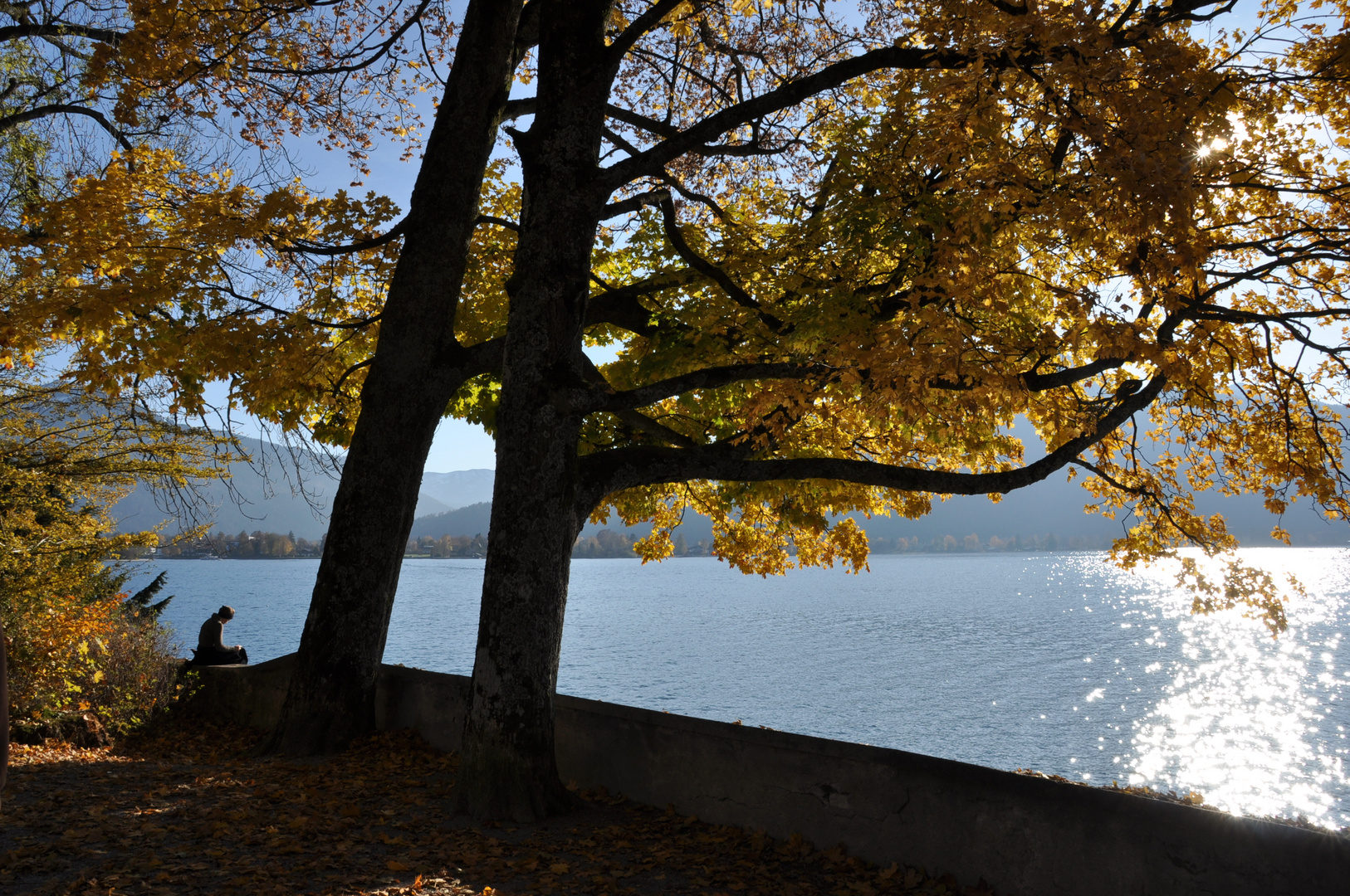 Lesen am Tegernsee