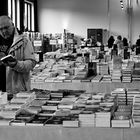 LESEN erfordert sinnvolle Auswahl