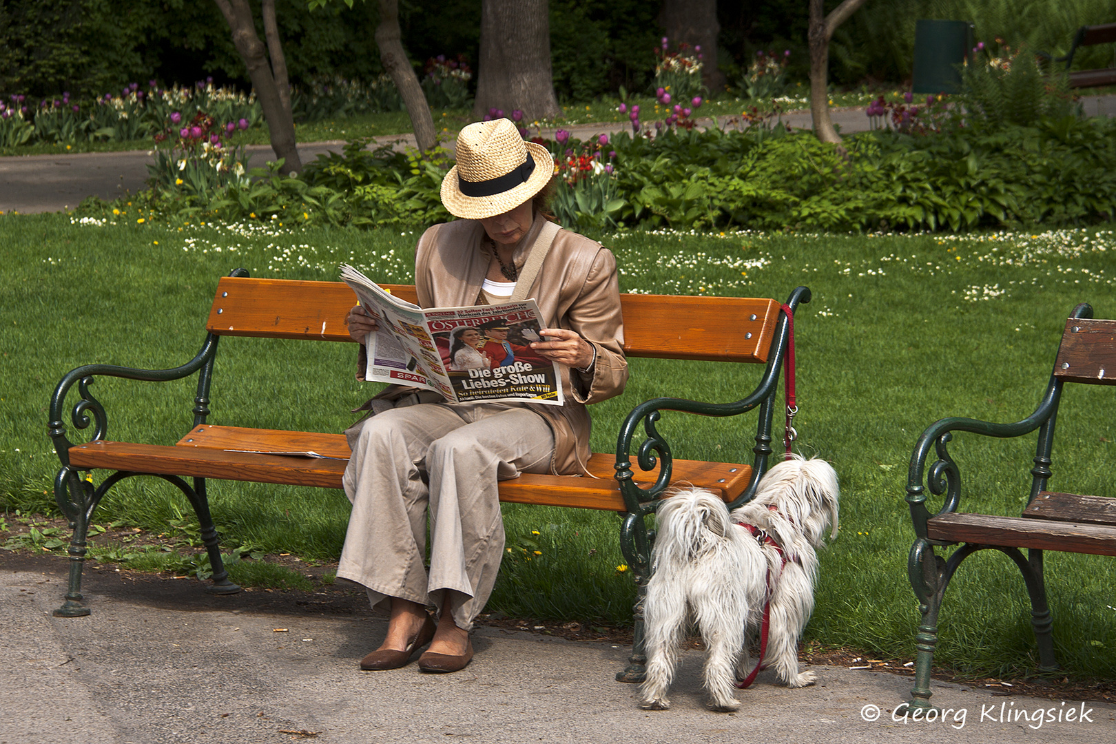 Lesen kann man auch im Park ...