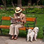 Lesen kann man auch im Park ...