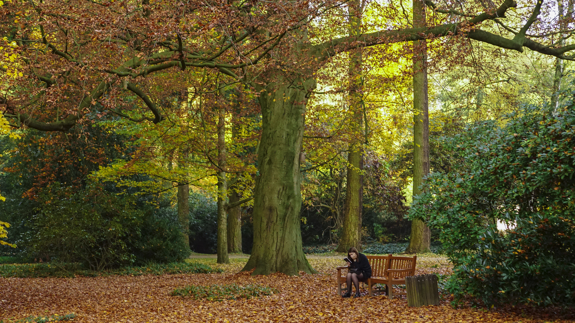 Lesende im Park - Herbststimmung im Forsrgarten Kleve