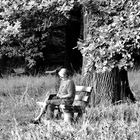 Lesepause unter Bäumen