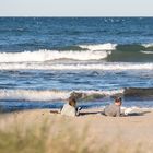 Lesestunde am Strand