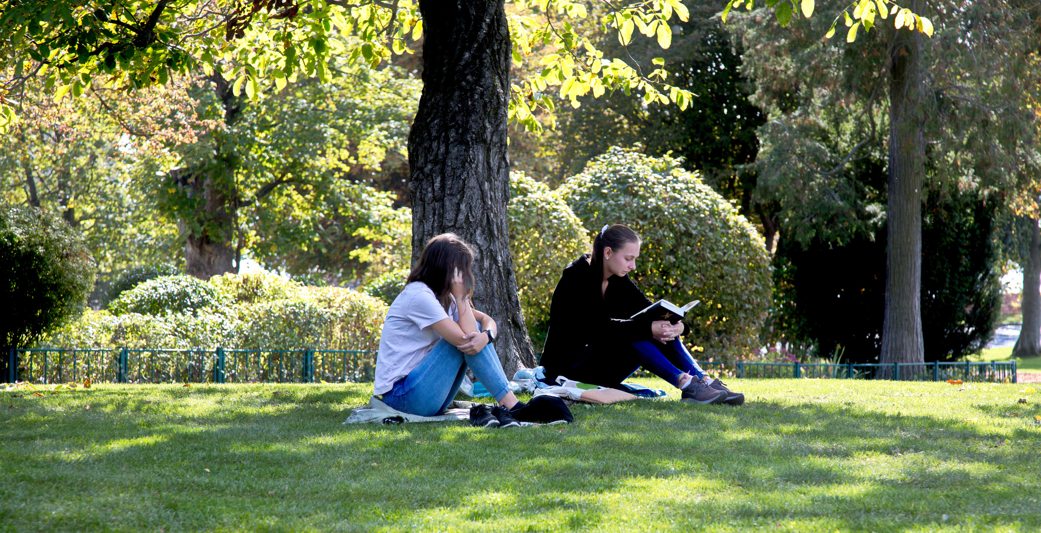 Lesestunde im Park