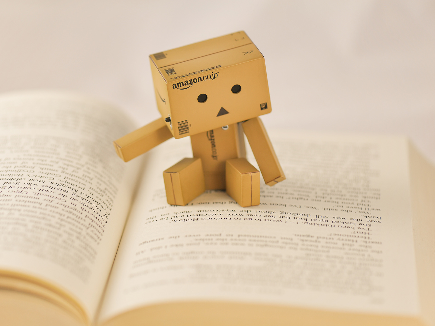 Lesestunde mit Danbo