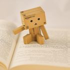 Lesestunde mit Danbo