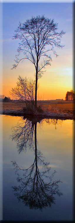 Lesezeichen "Spiegelung"