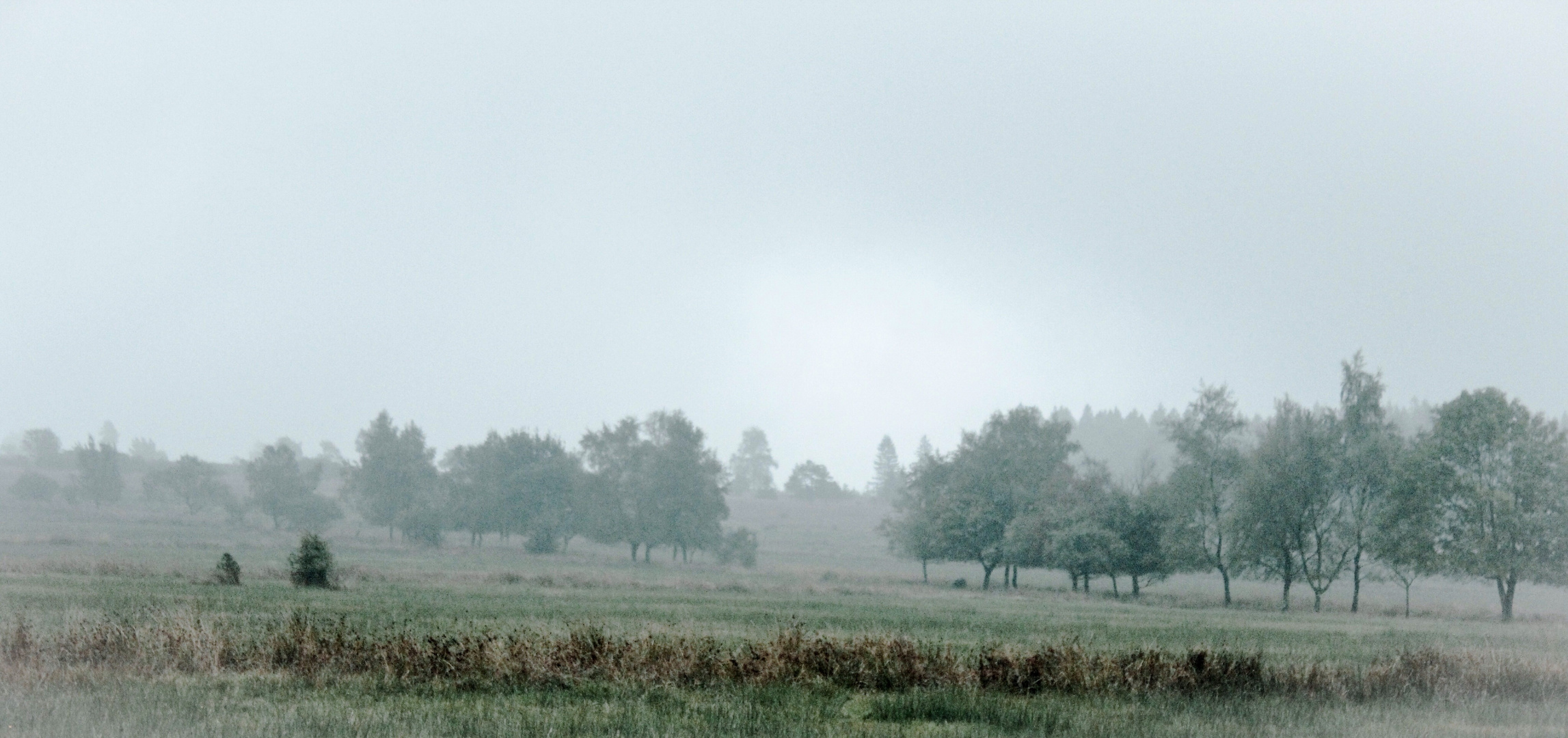 Les.Hautes.Fagnes.