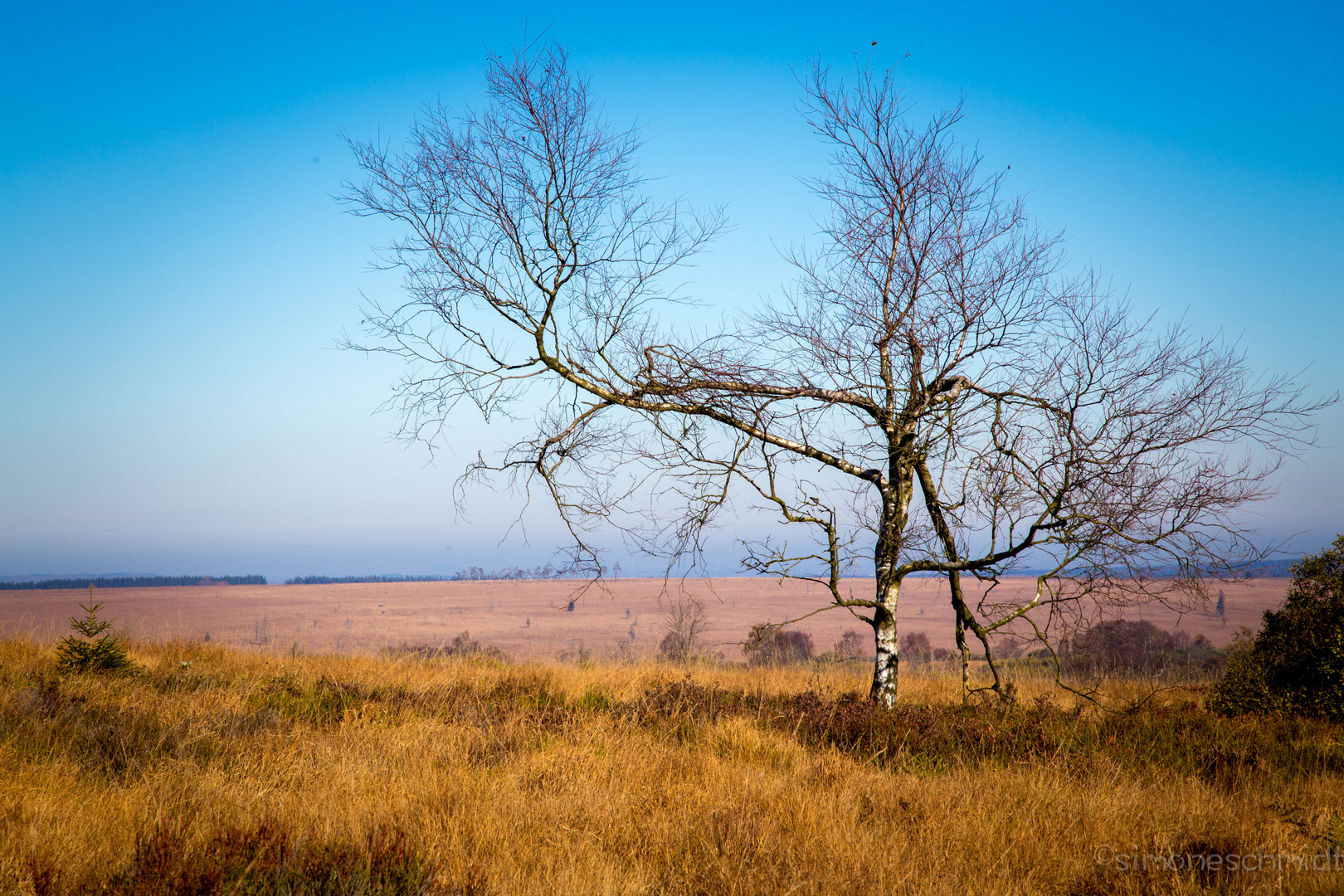 Les.Hautes.Fagnes.2