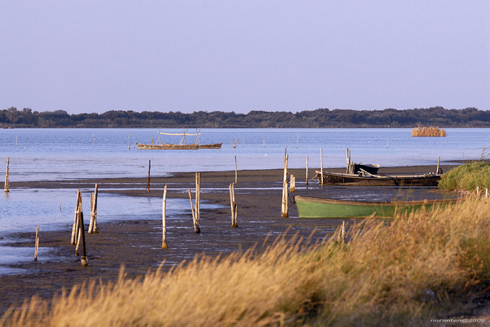 Lesina