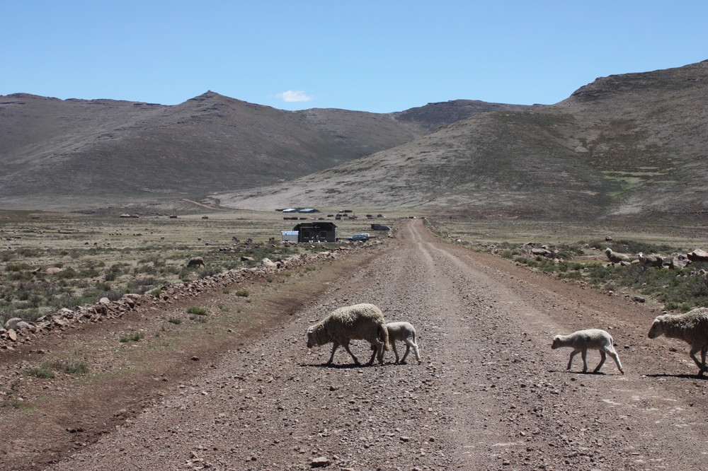 Lesotho Rushhour