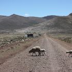Lesotho Rushhour