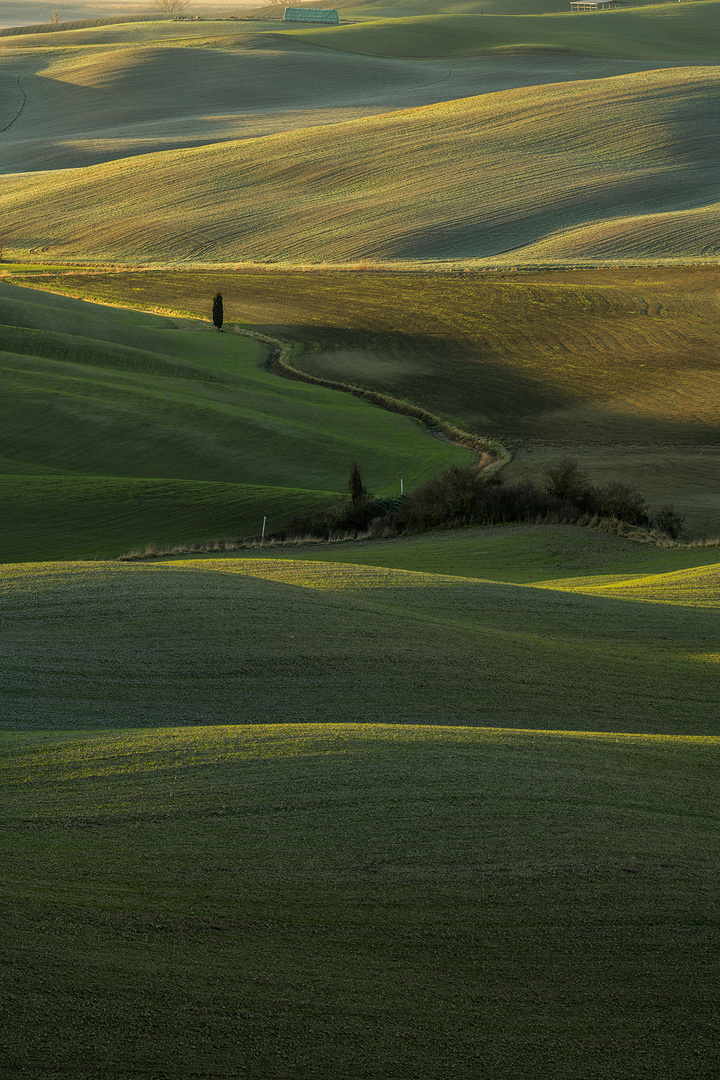 L'espandersi della luce