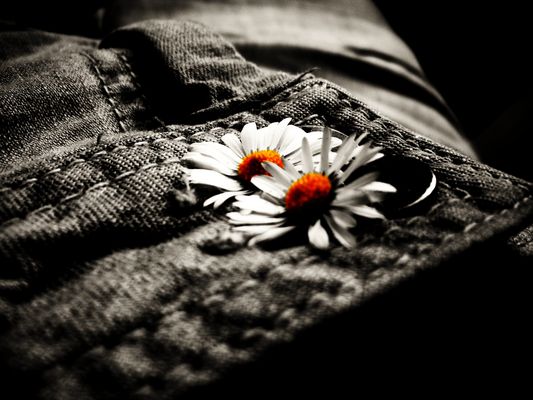 L'espoir est bien court qui n'occupe que l'espace d'un rêve.