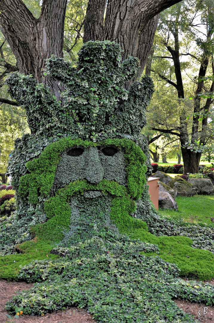 l'esprit de la forêt