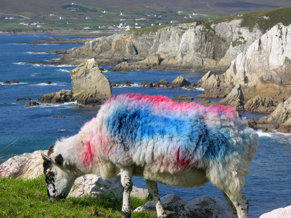 L'essenza dell'Irlanda...quella vera !