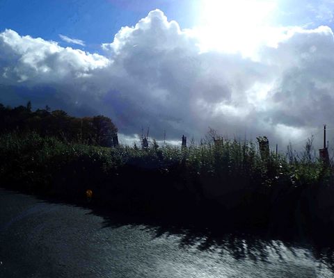 lessivage sur pâturages, même la lumière est limpide.