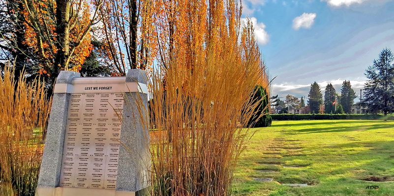 Lest We Forget - Nov 11th, 2021