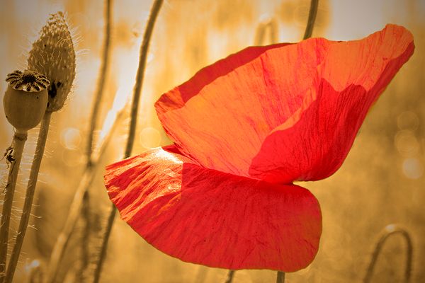 L'estate che arriva..........