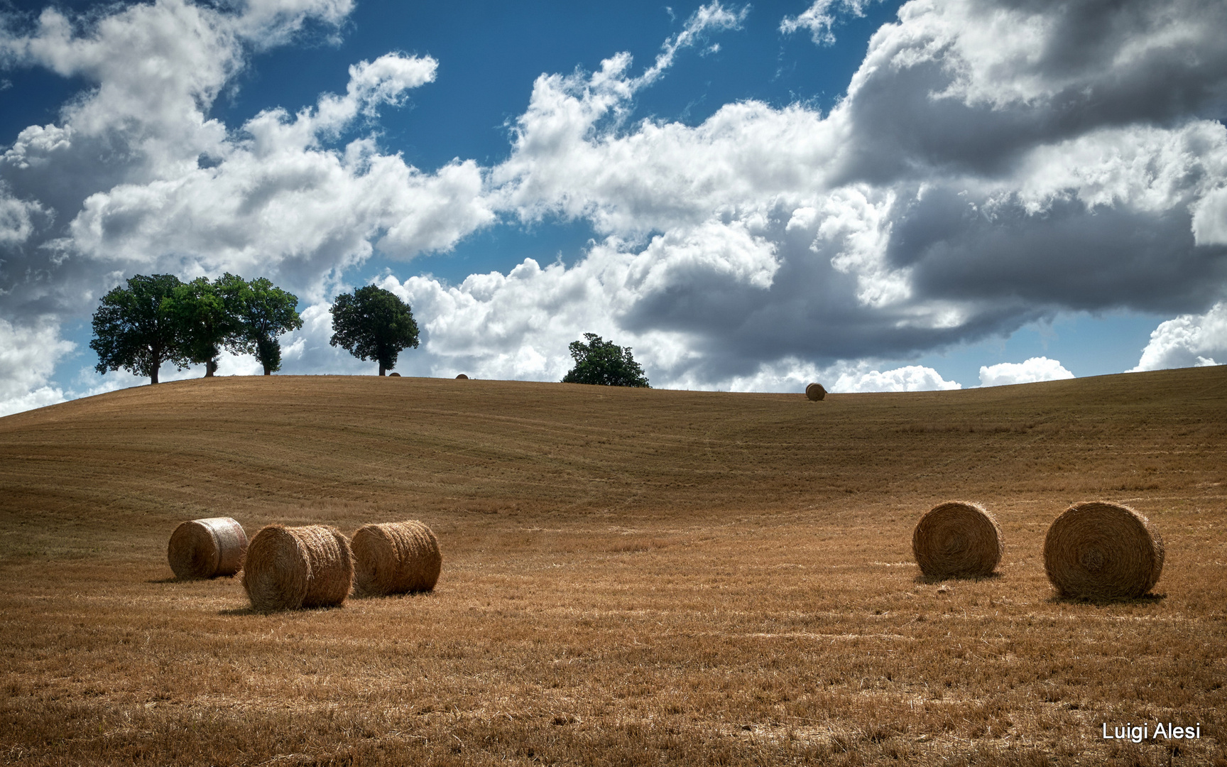 L'estate nella campagna marchigiana