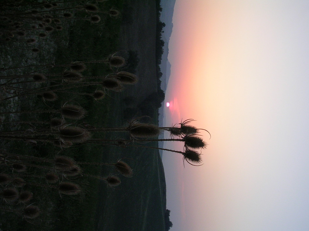 l'estate secca in romagna