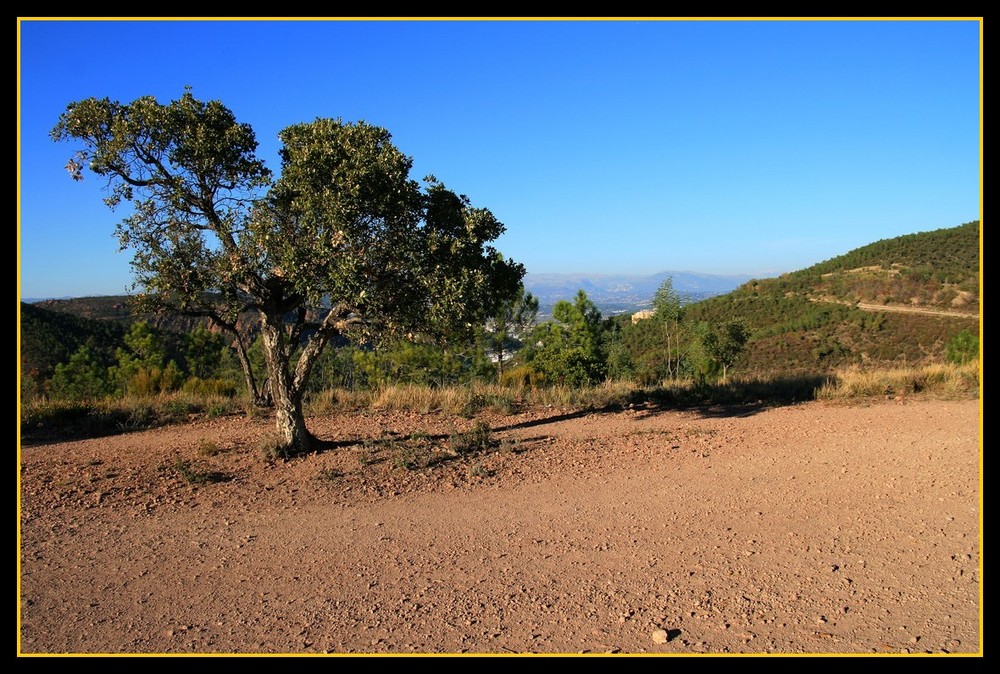 l'esterel