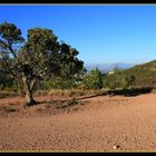 l'esterel