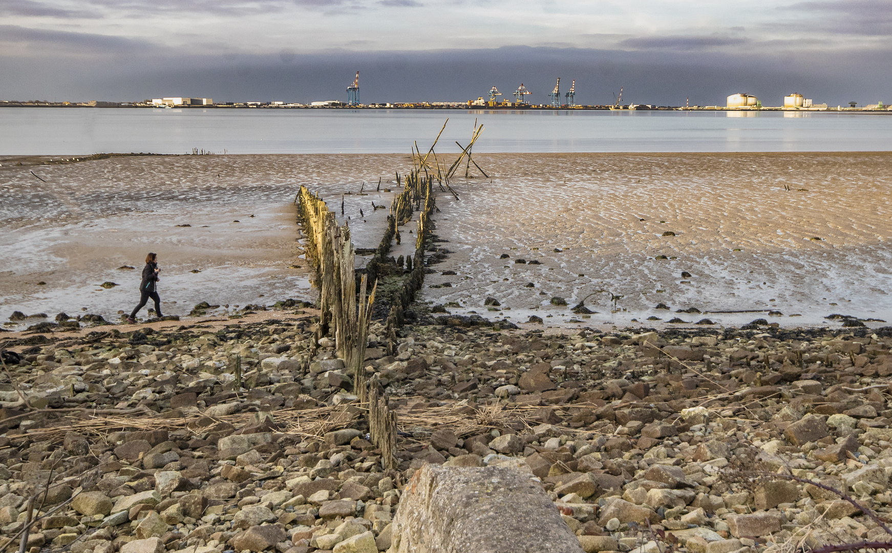 L'Estuaire de la Loire #2