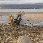 L'Estuaire de la Loire #2