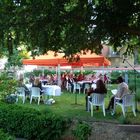 Lesung im Bürgergarten mit Musik