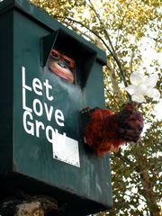 Let love grow