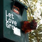 Let love grow