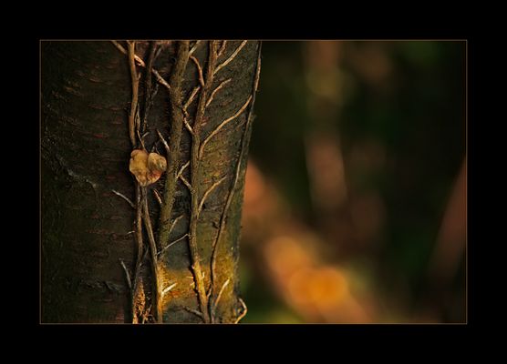 let the light shine on me