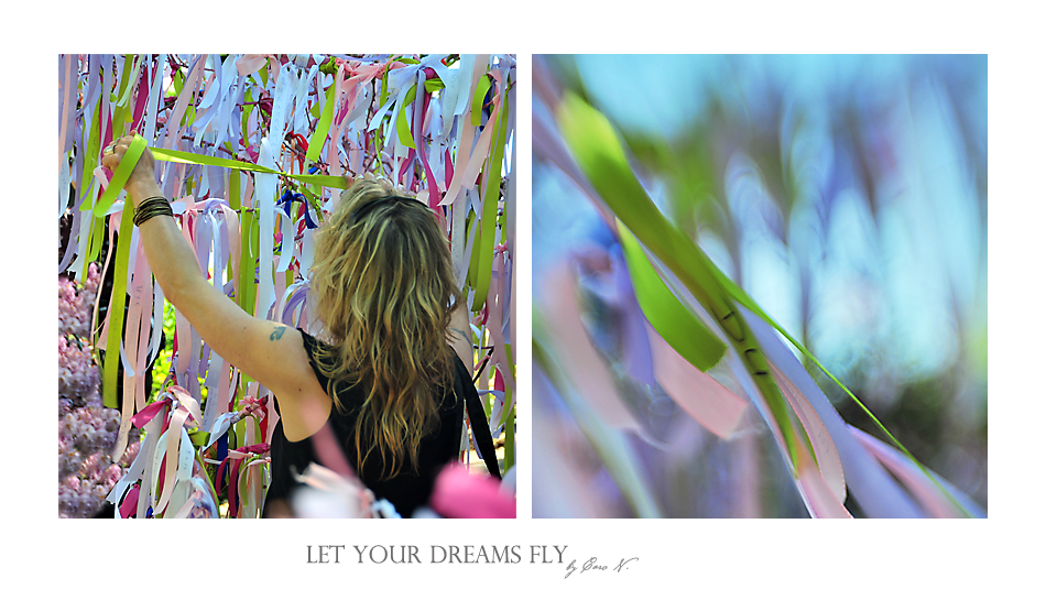 Let your dreams fly