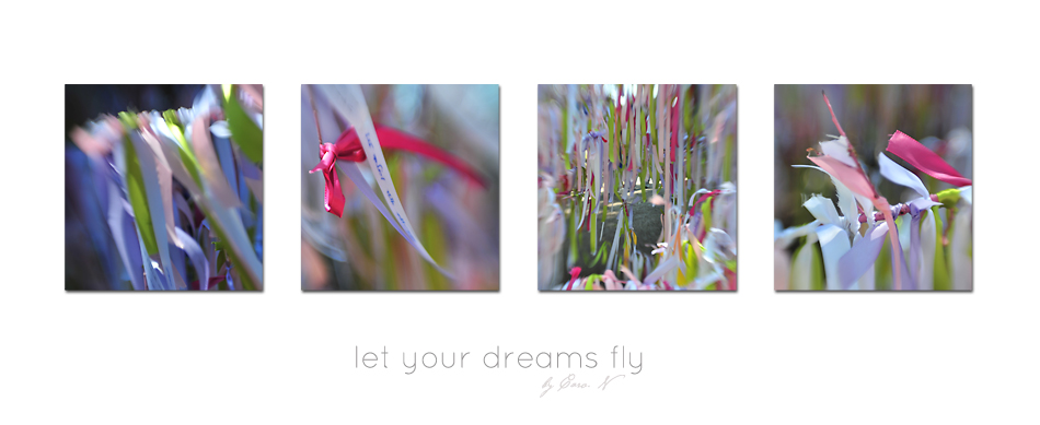 Let your dreams fly II