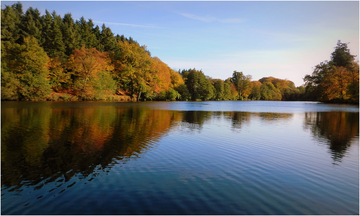 l'étang photo et image nature, paysages Images