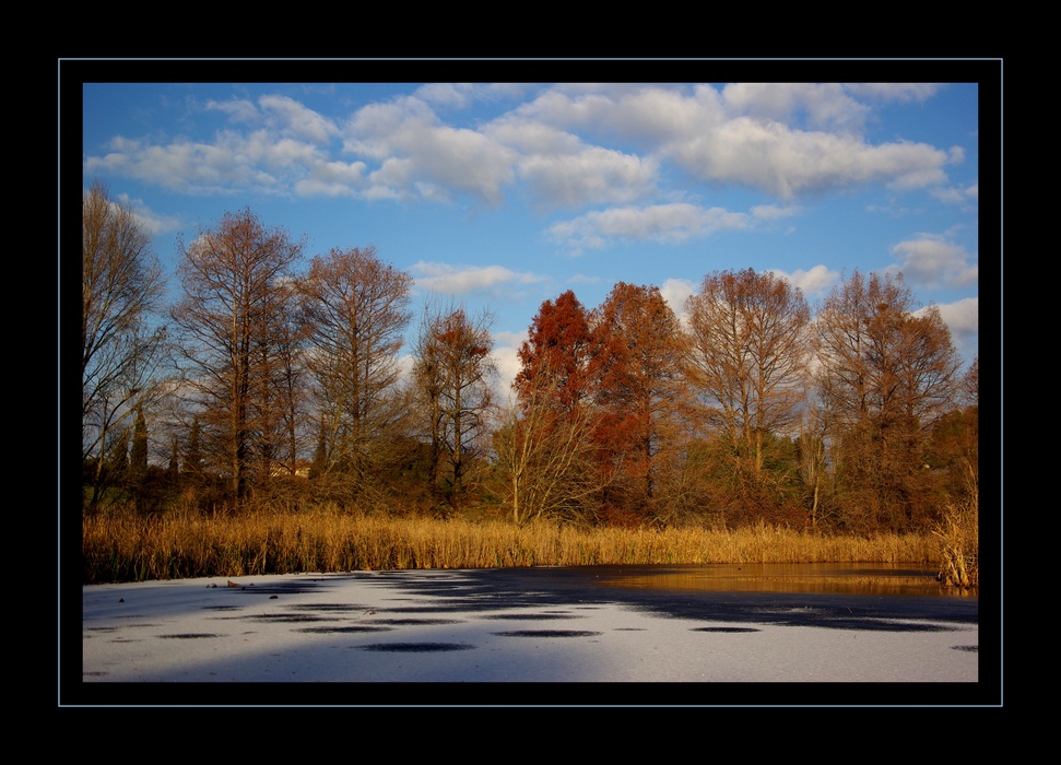 l'etang