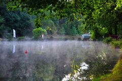 L'étang au petit matin