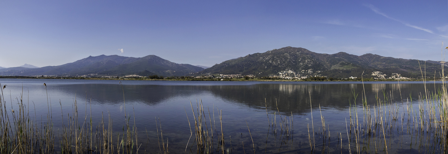 L'étang de Biguglia