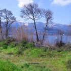 L'étang de biguglia bastia (haute corse)