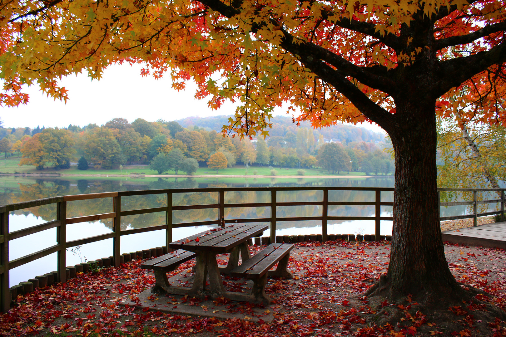 L'étang de Courtille en automne (France)