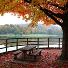 L'étang de Courtille en automne (France)